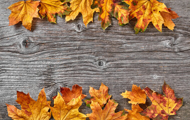 Autumn foliage background