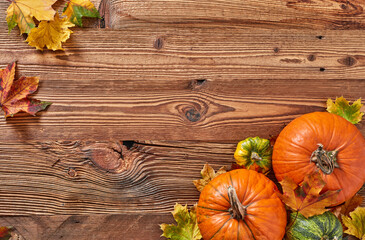 Autumn Pumpkin Background