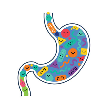 cartoon stomach filled with colorful microbes and bacteria.