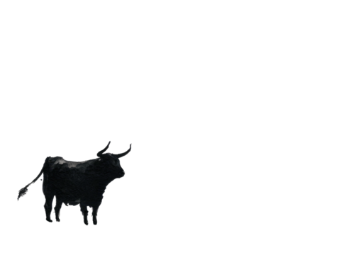 A black bull stands alone in a dark space with its head turned slightly to the side
