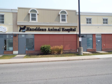 Stittsville,ON, Canada, June 22, 2025: The storefront for the "Hazeldean Animal Hospital" at 5685 Hazeldean Rd.
