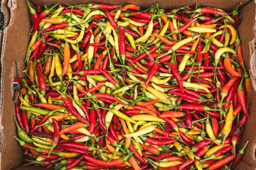 Fresh colorful chili peppers in a cardboard box. The image represents spice, diversity, natural energy and the vibrant essence of culinary passion.