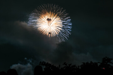 なにわ淀川花火大会