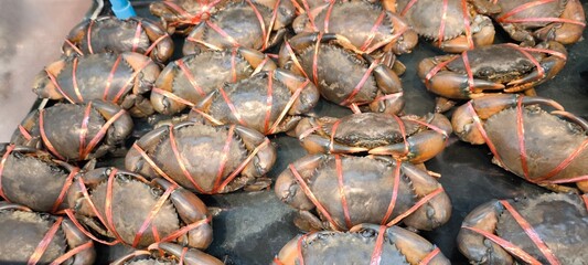 Crabs in a seafood shop