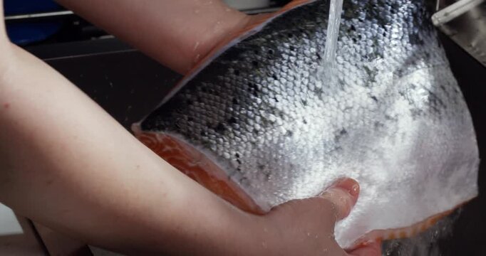 Anonymous female is preparing for lunch at home. The housewife washes salmon. Crop woman hand washing fresh raw salmon slices under running water at kitchen sink.