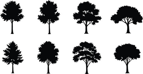 Set of eight black tree silhouettes isolated on white background, detailed vector collection for forest, eco, nature, and landscape design