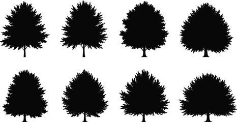 Collection of black tree silhouettes isolated on white background, vector illustration of different natural forest trees for landscape design