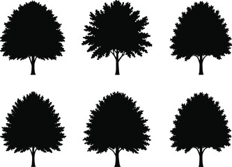 Set of black tree silhouettes isolated on white background, vector forest elements, natural plant shapes for eco graphic design