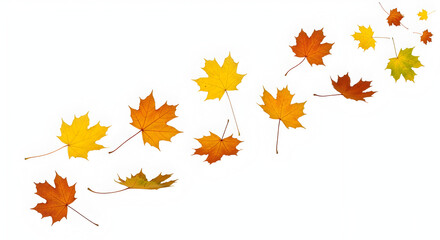 Fototapeta premium i need a title and 49 tags separated with comas for these images to upload on adobe stock and title and tags should seo friendly Scattered Maple Leaves in Motion — Diagonal Fall Leaf Arrangement on Ye