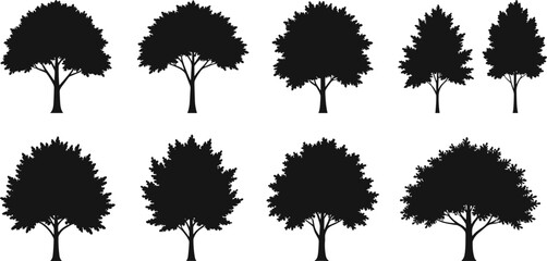 Set of black tree silhouettes isolated on white background, vector illustration of forest elements, nature shapes, botanical design art collection