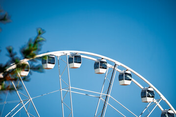 Close up of a white Ferris wheel upper arc in Riga with enclosed gondolas, a blurred sprig at left, strong daylight and sharp highlights, bright and crisp urban setting. © Aerial Film Studio