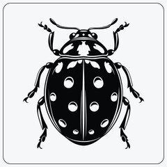 Stylized ladybug illustration. Symmetrical black and white insect graphic. Vector symbol for good luck or a nature logo.