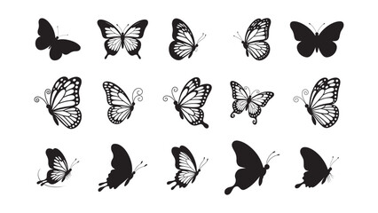 Black and White Butterfly Silhouette and Outline Vector Set