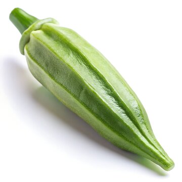 Single Green Okra Pod on White Background gombo bhindi