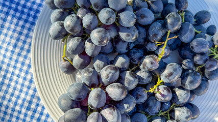 Deep violet grapes shimmer tantalizingly under sunlight on checkered cloth, evoking Bacchus...
