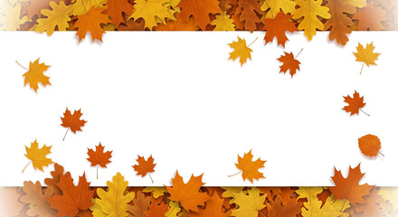 Autumn fall leaves frame border with copy space for text and design isolated on transparent background