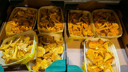 Golden chanterelle mushrooms nestled in rustic baskets, whispering tales of autumn foragers and...