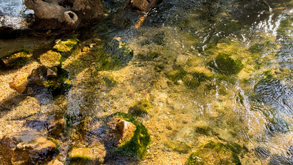 Sun-dappled creek whispers harmony with vibrant mossy boulders, evoking World Water Day and the Zen festival tranquility