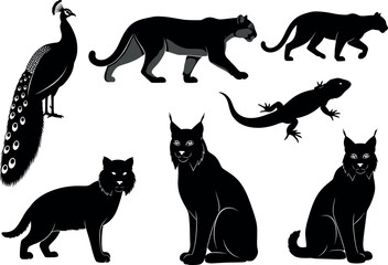 Animal silhouette set featuring wild cats, peacock, and lizard in various poses for wildlife, nature, and design themes.v