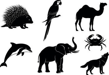 Animal silhouettes set featuring dolphin, elephant, camel, crab, wolf, parrot, porcupine – black vector icons for wildlife design