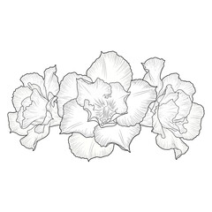 black and white silhouette vector icon of Adenium flower on white background