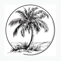 palm tree on a white background
