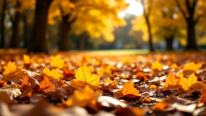 Golden Autumn Leaves Blanket the Ground in a Radiant Display of Natures Beauty