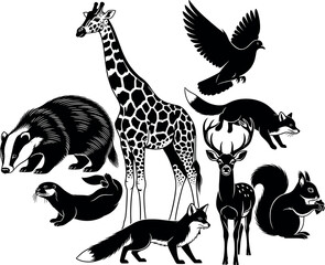 Wild forest animals black and white vector set featuring fox, deer, raccoon, squirrel, bird, giraffe, otter, badger illustrations