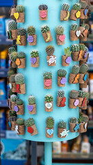 Fototapeta premium Adorable Baby Mini Cactus Plants Displayed On Decorative Souvenir Rack