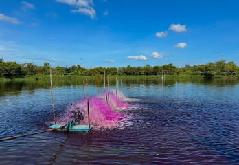 The water pump is working in the fish pond.
