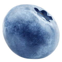 Blueberry isolated on white background, full depth of field