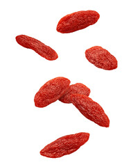 Falling Goji berry, Wolfberry isolated, full depth of field