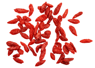 Goji berry, Wolfberry isolated, full depth of field