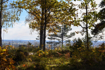 Fototapeta premium Autumn forest on top of a mountain