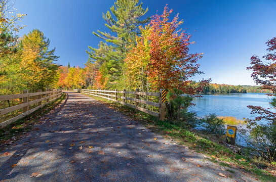 Brilliant fall foliage along the Adirondack Rail Trail near Floodwood in the Adirondacks upstate NY