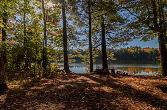 Campsite surrounded by brilliant fall foliage in the St. Regis Wilderness Canoe Area in the Adirondacks