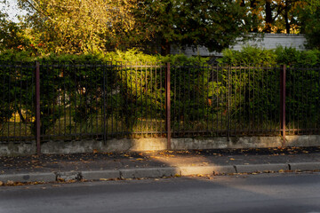 Street scene with iron fence and dense green bushes along concrete pavement under golden evening light showing calm neighborhood and simple urban beauty