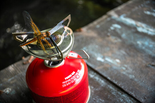 Dragonfly resting on a camping stove in mountains, symbolizing harmony between nature and adventure