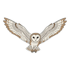 Refined Owl Design