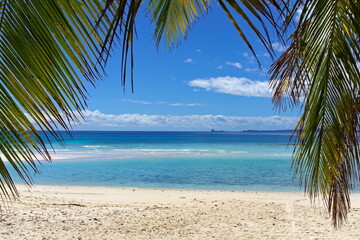 tropical beach with palm trees