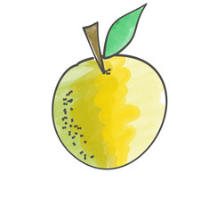 vector illustration of an apple