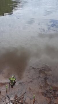 cava de garimpo em serra pelada, par&aacute; 