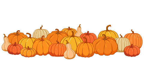 Pumpkin patch vector set. Bunch of autumn pumpkins. Hand drawn pumpkin squash in different colors and shapes.