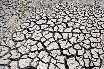 Dry and cracked land in the Palo Verde Wetlands, in Costa Rica. These wetlands that have been impacted by ongoing seasonal droughts are considered the most important wetlands in Central America. 