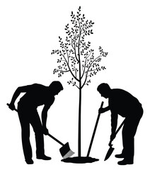 Vector illustration of two people planting a young tree with shovels scalable eps icon for gardening and environmental projects silhouette vector illustration white background