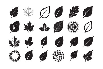 24 Fallen Leaves Silhouette Vector Bundle. Autumn Black Clipart