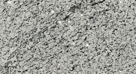 Gray granite slab with sparkling highlights textured surface with dark spots