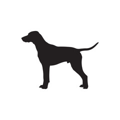 Vizsla dog silhouette vector flat illustration design on white background