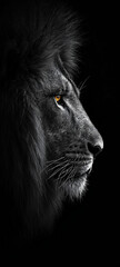 Black Lion Profile