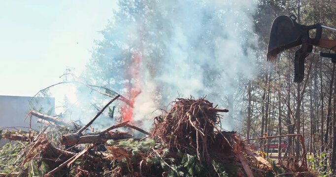 Large pile of tree roots, branches, and organic waste burning with smoke, excavator machine in right side of frame preparing to move debris in outdoor location with trees and white building in
